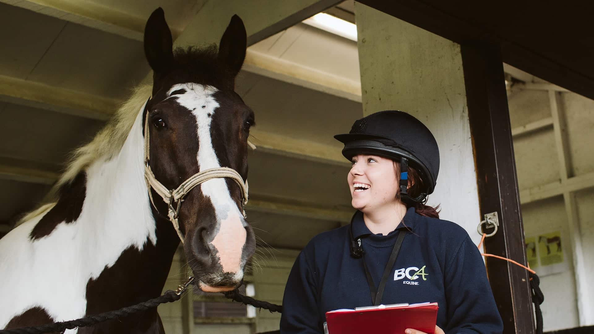 Level 1 Diploma in L&based Studies (Horse Care) Course