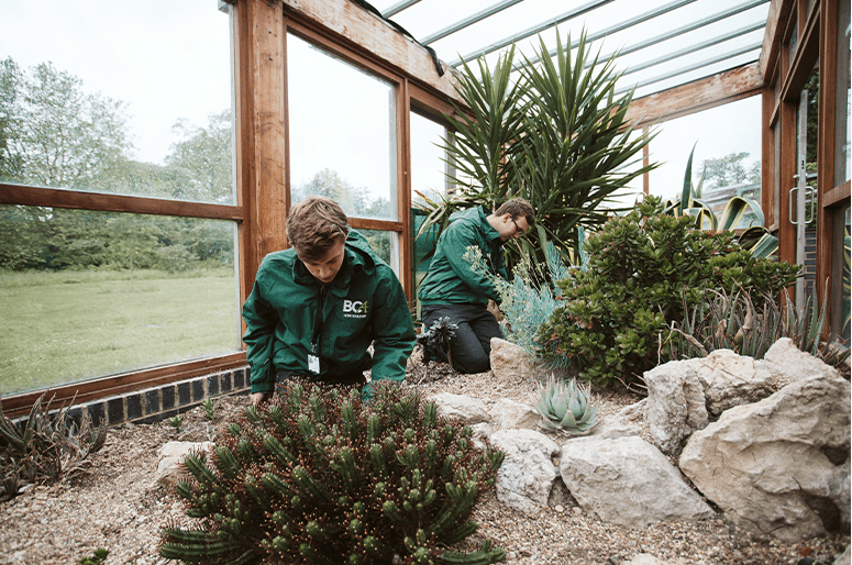 Students planting