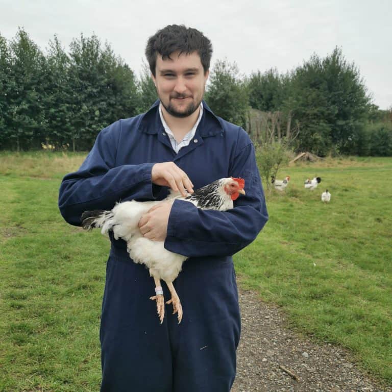 Boy holding chicken