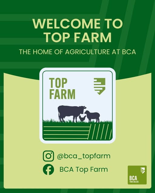 Welcome to Top Farm