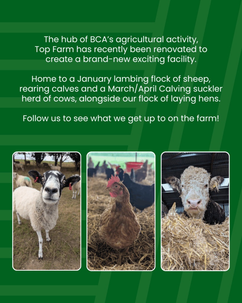 A graphic talking about Top Farm being the hub of all agricultural activity at BCA