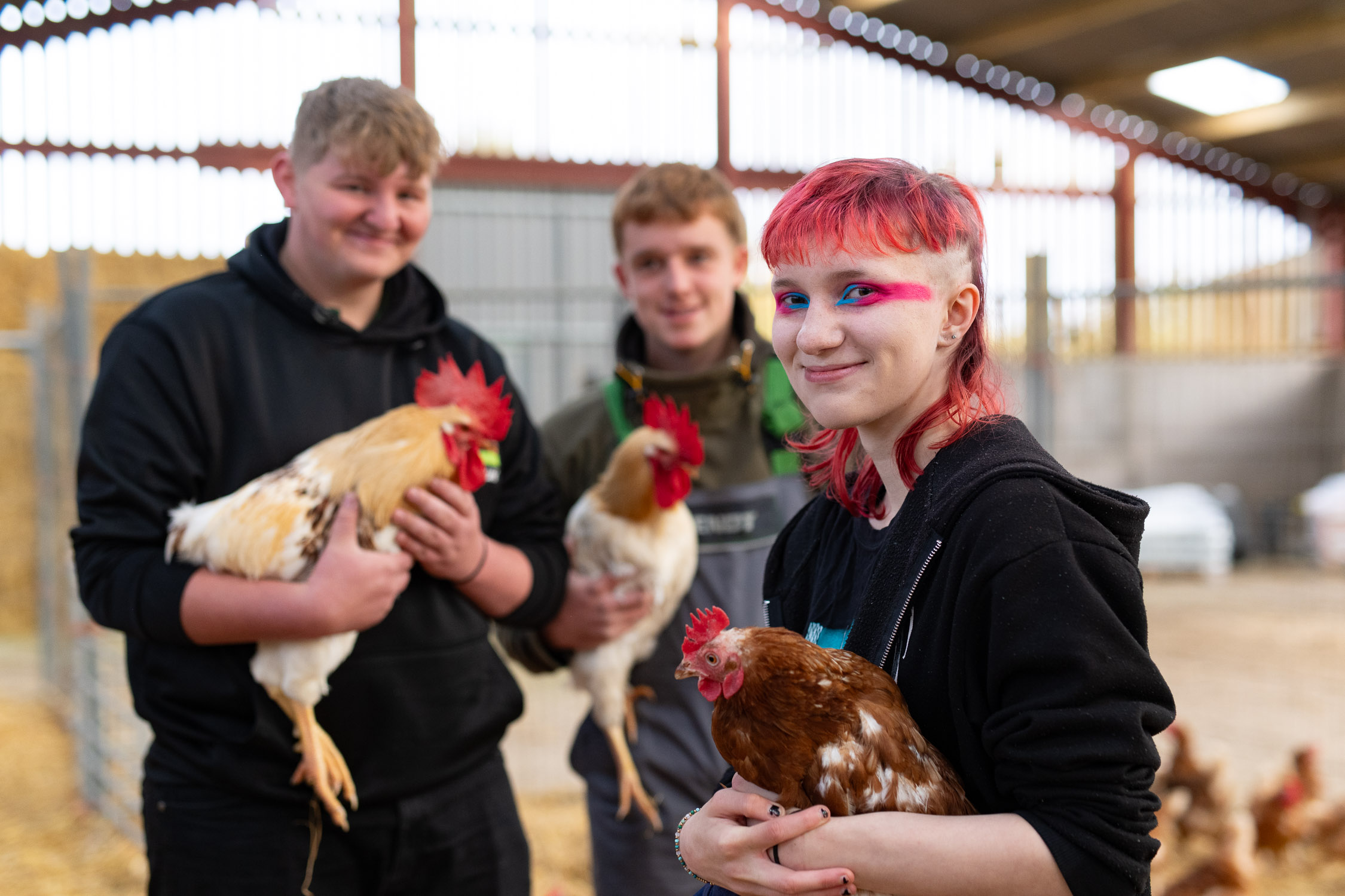3 students (One with pink hair) holding chickens