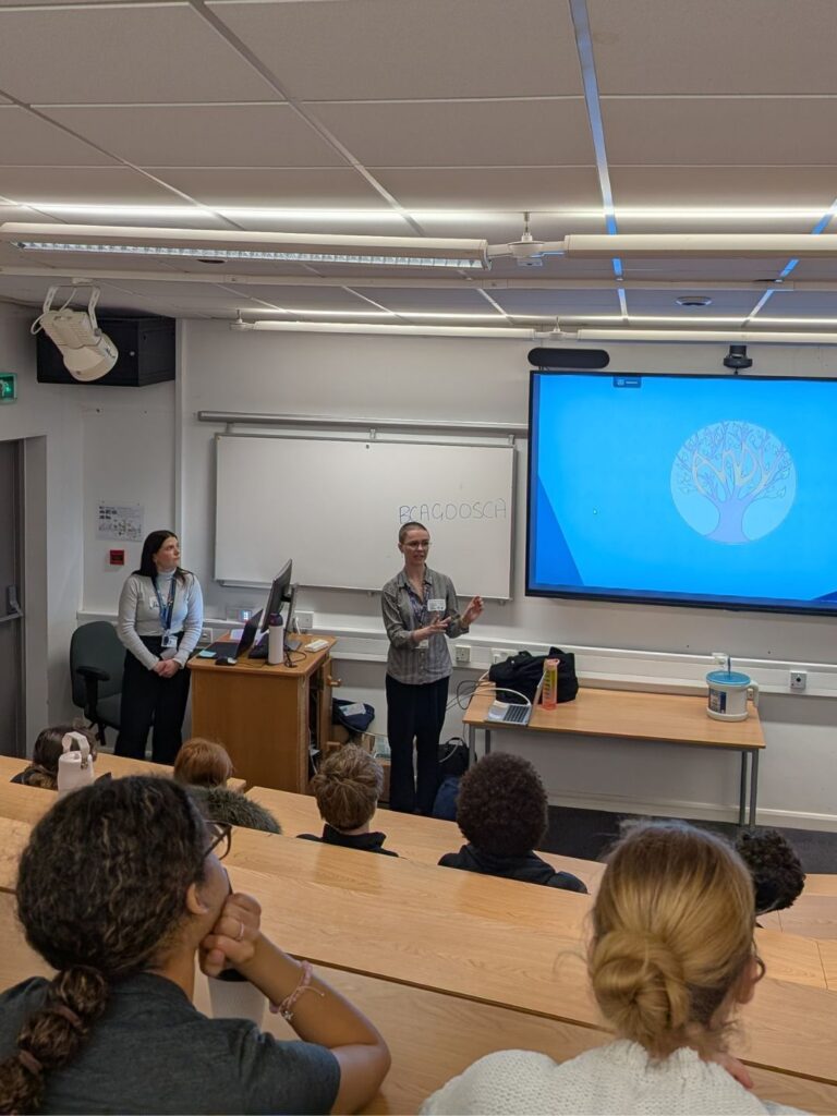 A photo from the back of the room at a talk during BCA Wellbeing Week